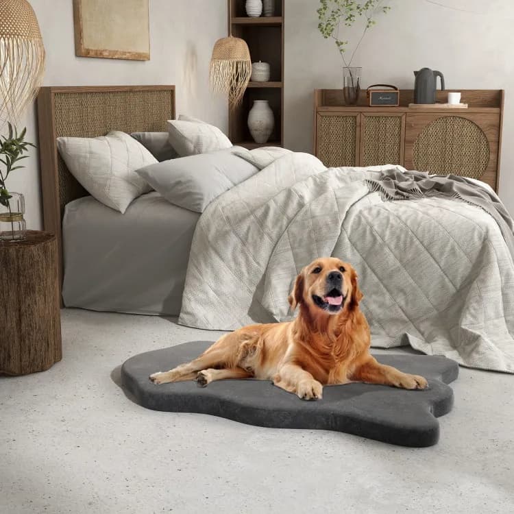 Couchage orthopédique grand chien